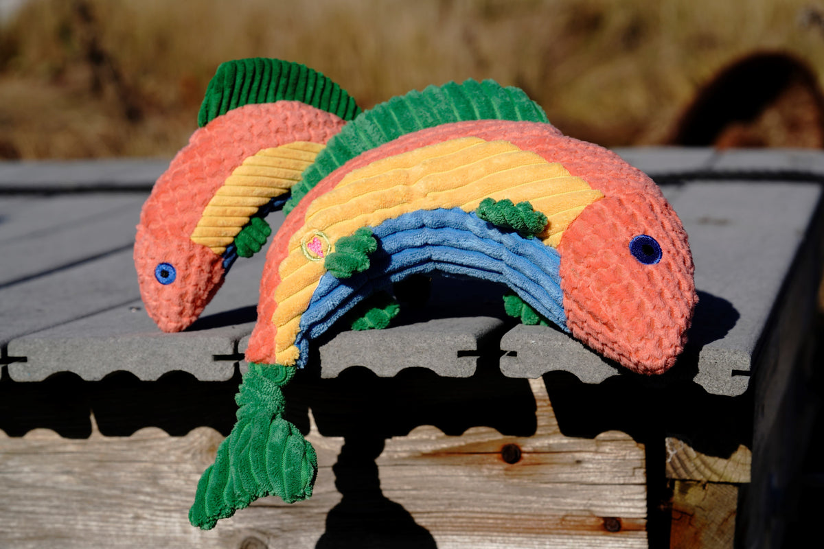Raucous Rainbow Trout Knottie® Plush Dog Toy – Squeaky Fish Toy for Dogs HuggleHounds