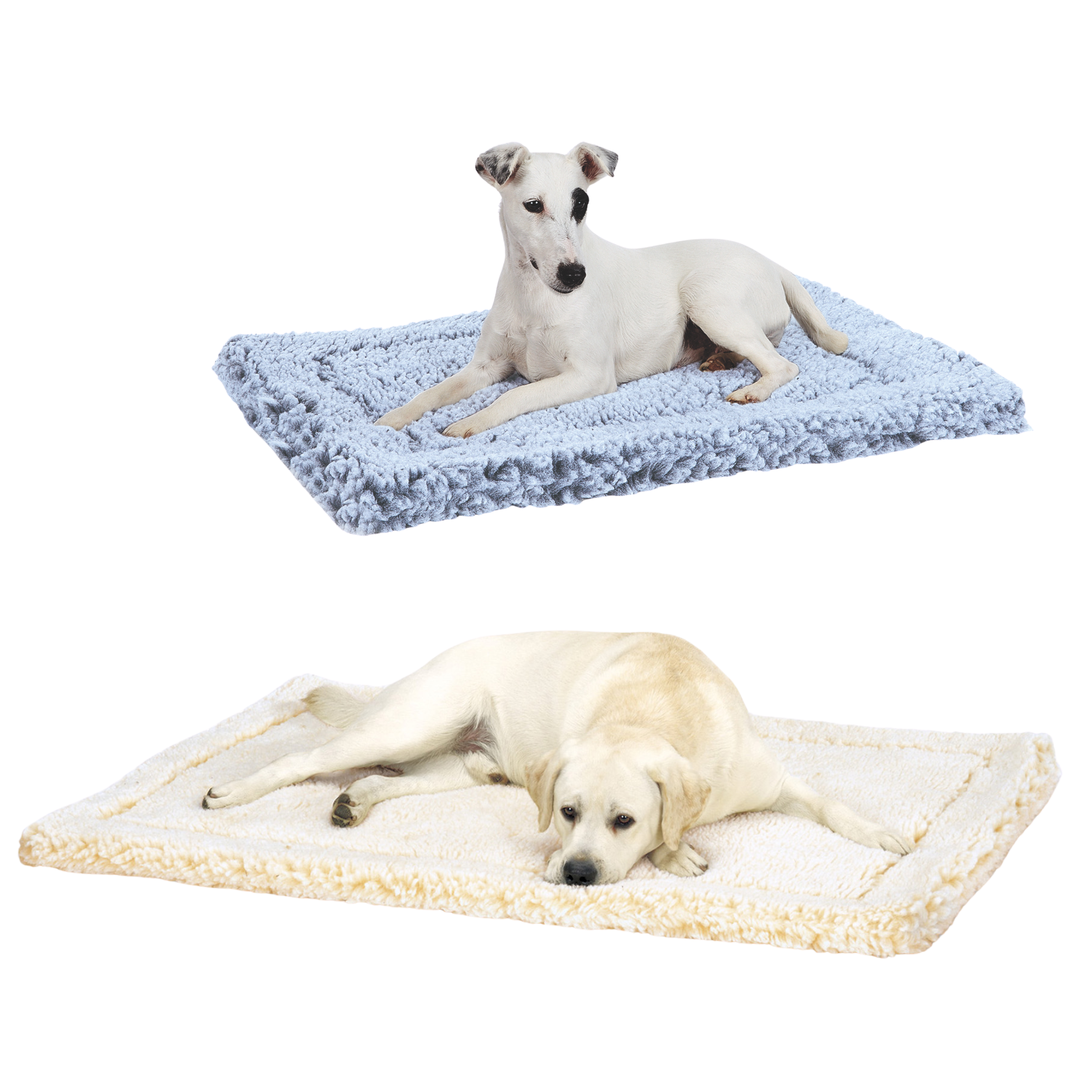 Two dogs lying on different textured pet beds against a white background