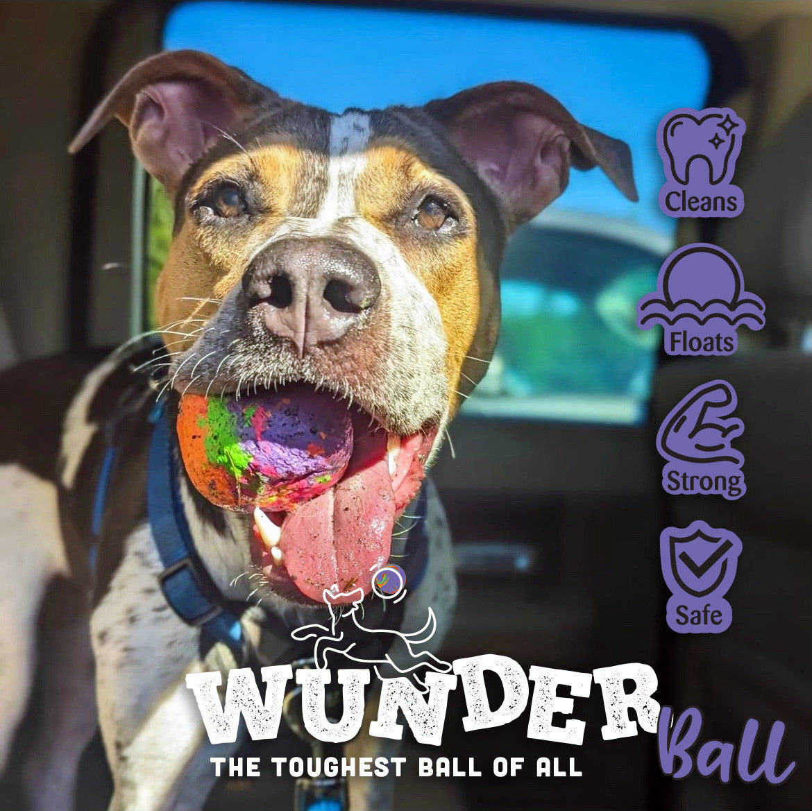 WUNDERball Dog Fetch Toy | 100% Natural Rubber, Floatable & Virtually Indestructible | S–XL WACKYstore