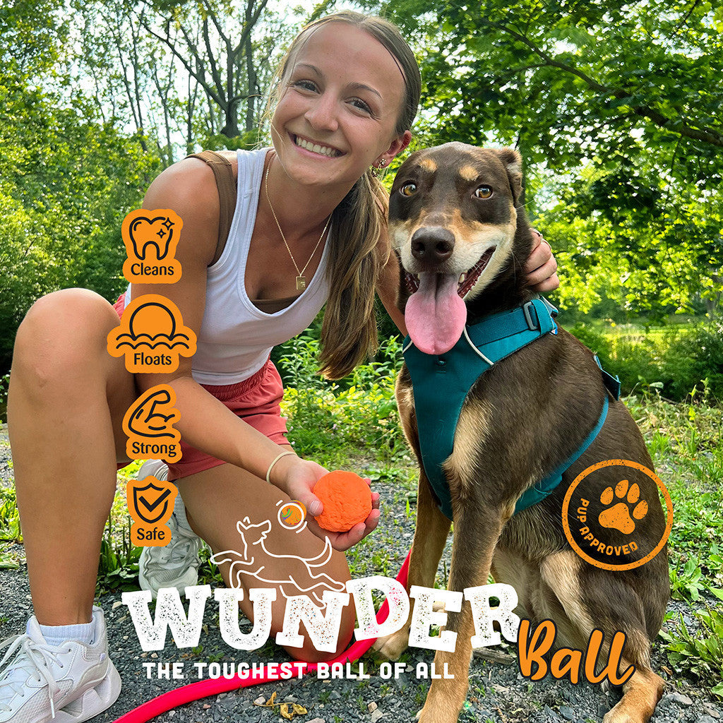 WUNDERball Dog Fetch Toy | 100% Natural Rubber, Floatable & Virtually Indestructible | S–XL WACKYstore