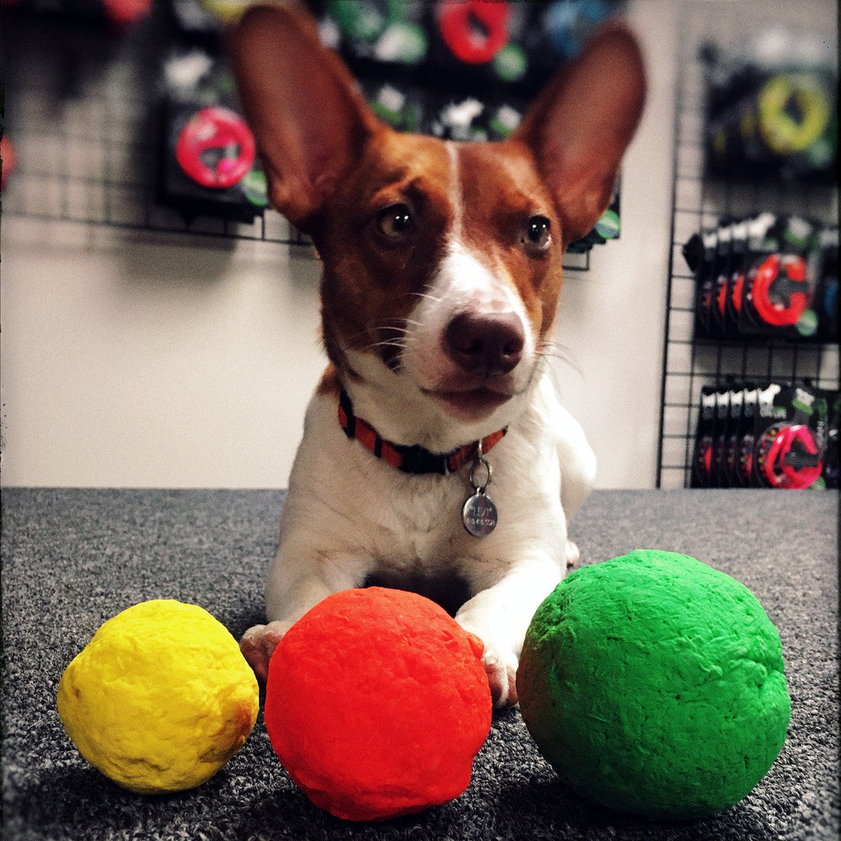 WUNDERball Dog Fetch Toy | 100% Natural Rubber, Floatable & Virtually Indestructible | S–XL WACKYstore