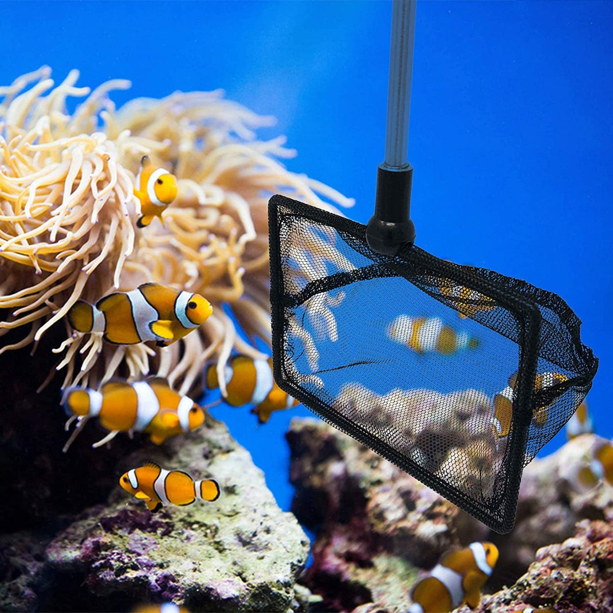 FISH PROS Fine Mesh Aquarium Fish Net with Telescopic Handle – 4" & 6" Sizes MJ's Pet Closet