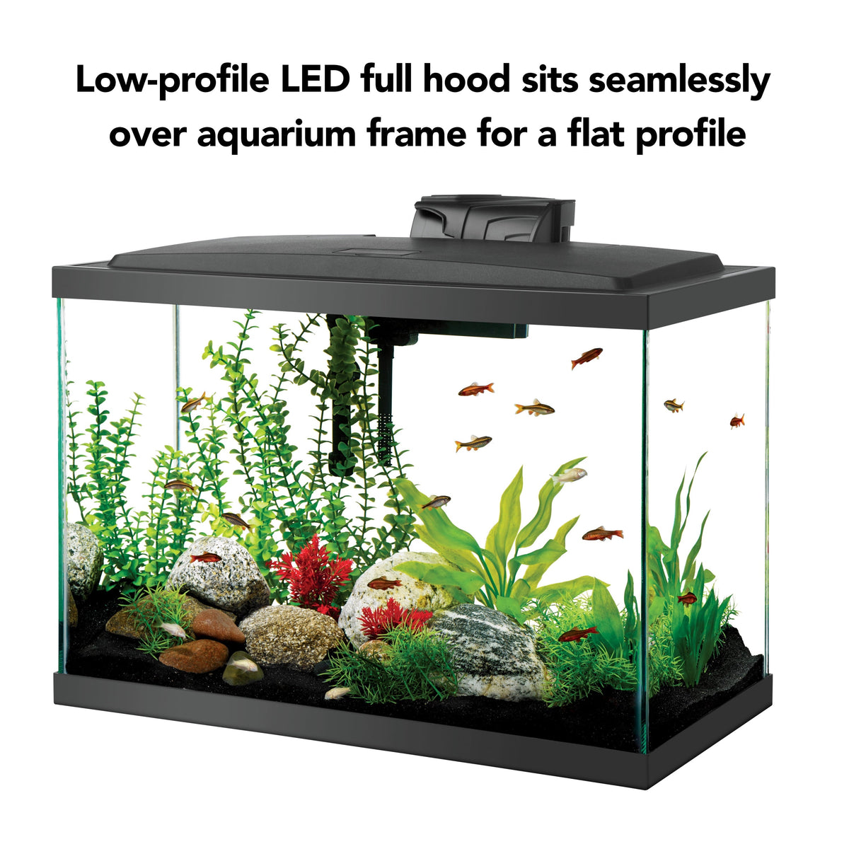 Aqueon 20 Gallon Aquarium Starter Kit – Complete Fish Tank with LED Hood, QuietFlow Filter, Heater & Accessories MJ's Pet Closet