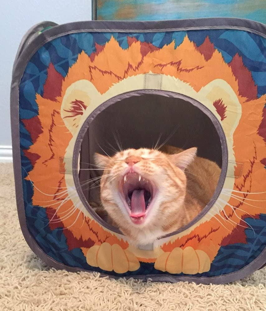 Cat yawning inside a tiger-themed pet bed on a carpeted floor.