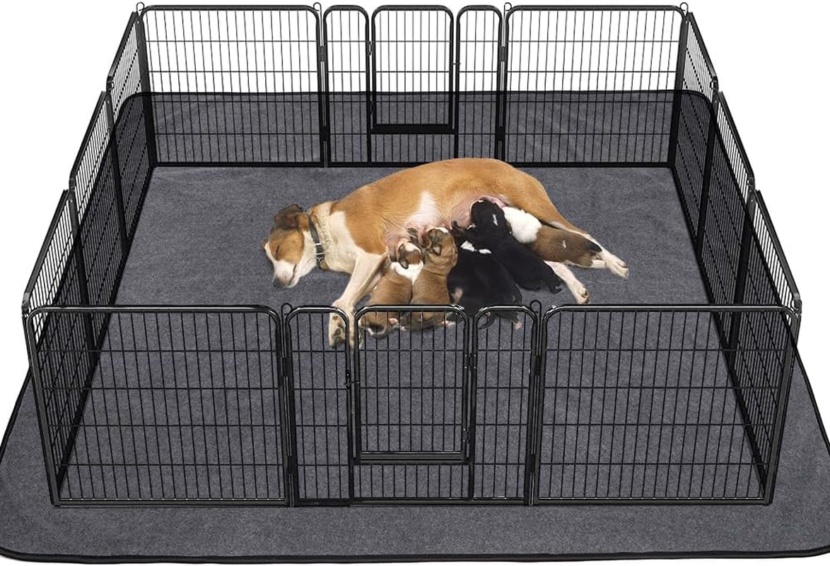 Dog playing inside a large metal pet pen with a gray mat on a white background