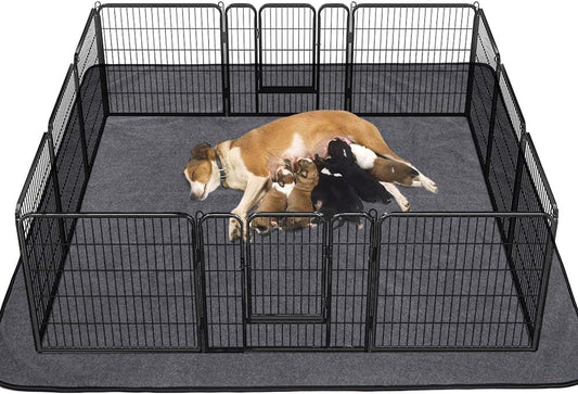 Dog playing inside a large metal pet pen with a gray mat on a white background