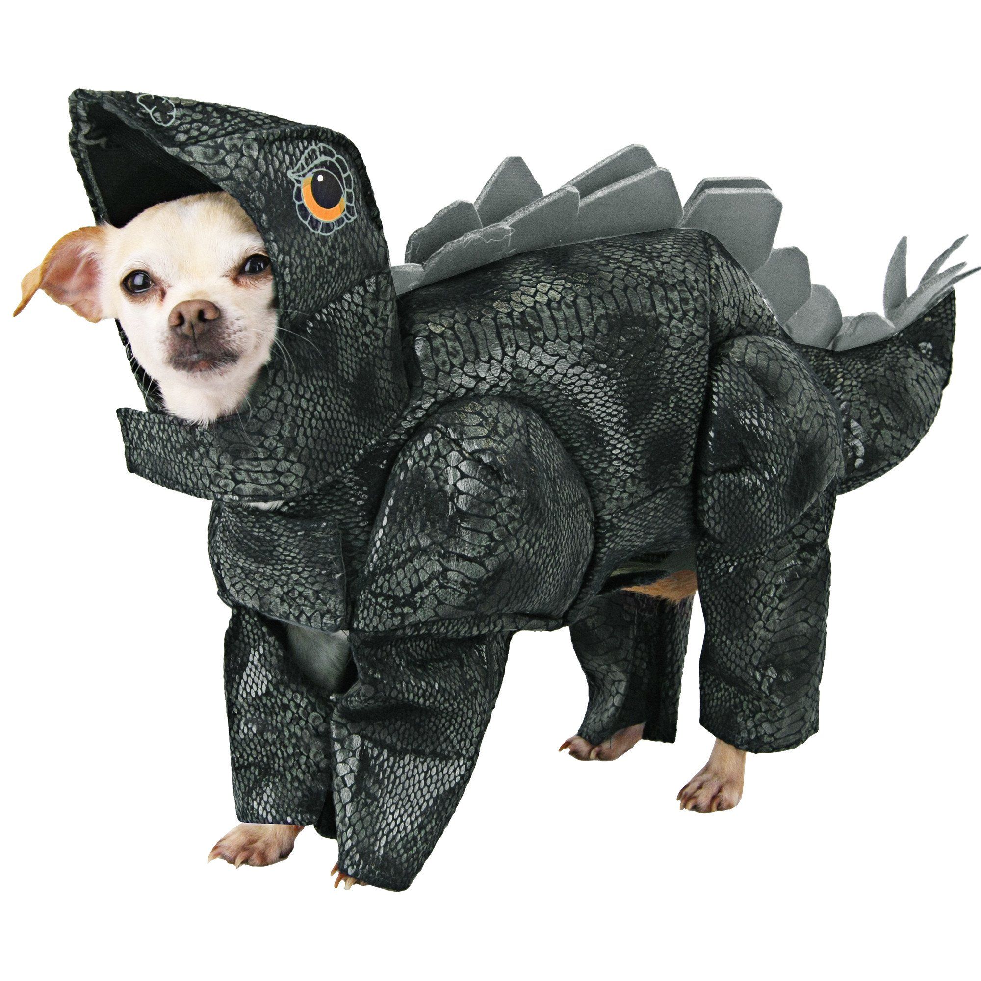 Dog wearing a Stegosaurus costume on a white background