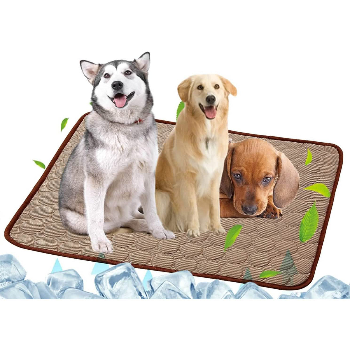 Pet cooling mat with images of three dogs and ice cubes at the bottom.