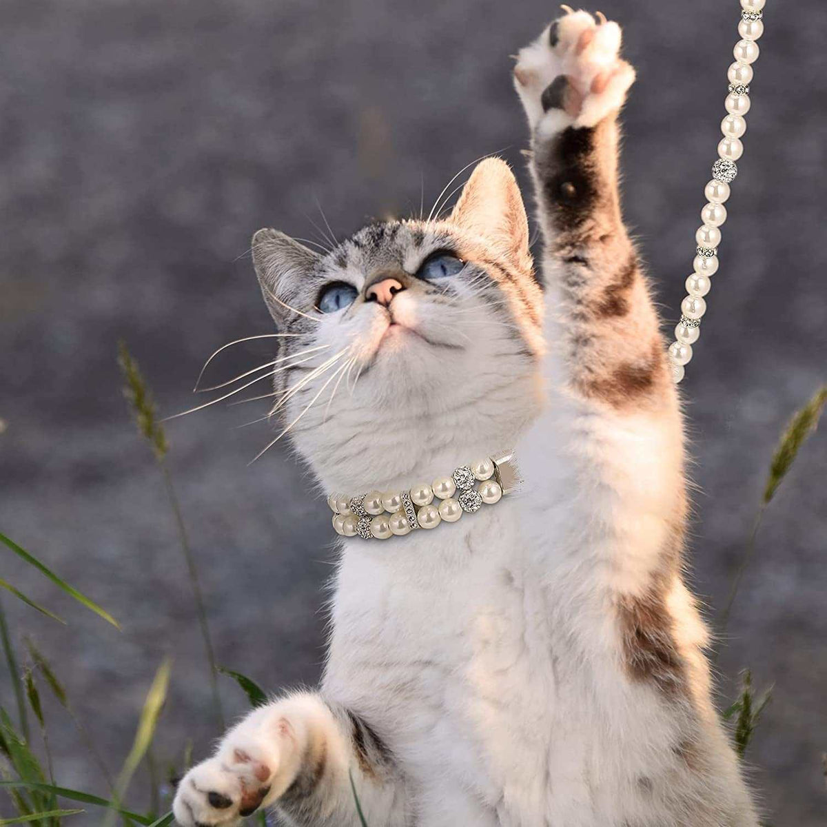 Pearl Dog Collar & Leash Set – 2-Row Pearl Necklace with PU Leather Leash for Small & Medium Dogs MJ's Pet Closet