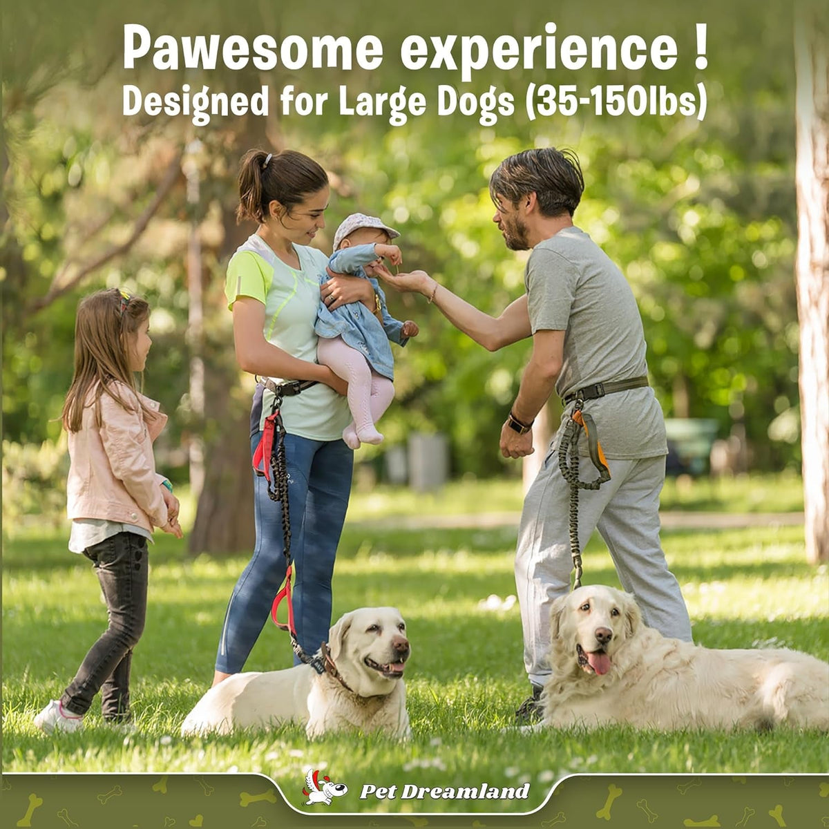 Family with large dogs in a park, promoting pet products for large dogs.