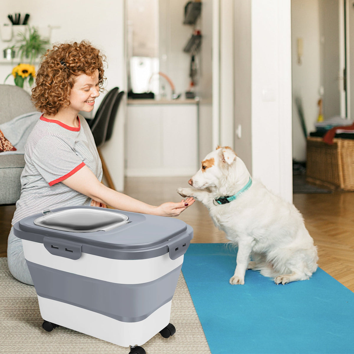 Collapsible Pet Food Container with Wheels – 20 Lb Capacity MJ's Pet Closet