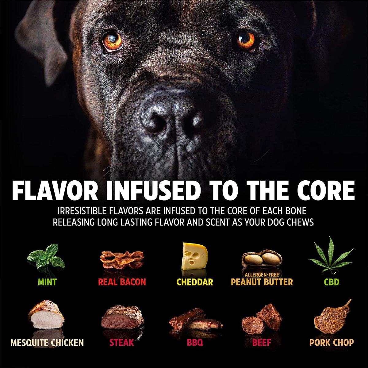 Nylon Dog Bone for Aggressive Chewers MJ's Pet Closet
