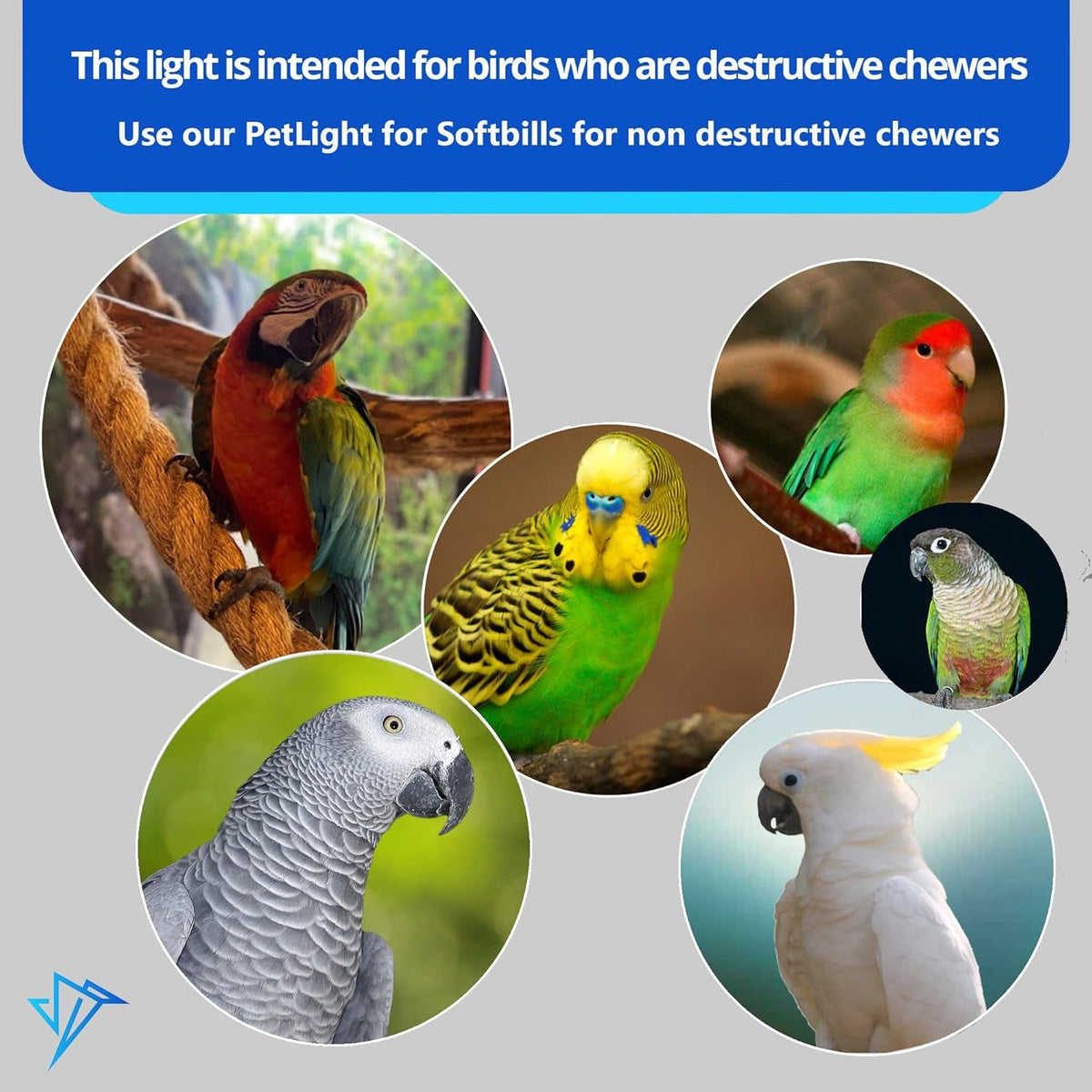 M&M Happybird Full Spectrum LED Bird Cage Light with Chew Guard | 18" | UV-Free | For Hookbill & Soft-Billed Birds MJ's Pet Closet