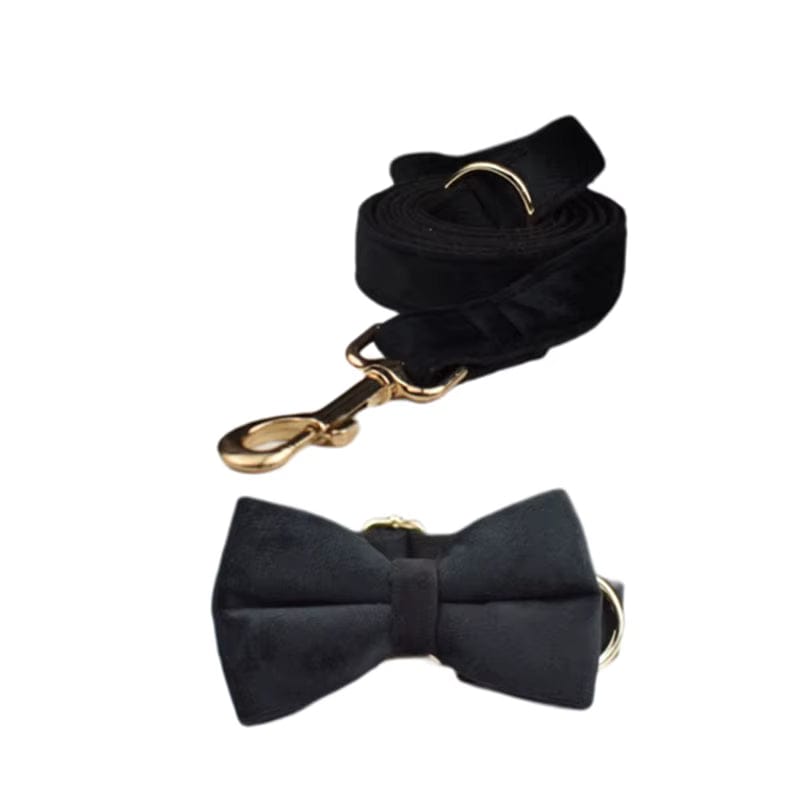 Black Velvet Personalized Dog Harness Set – Custom Engraved Collar & Leash DDPaws