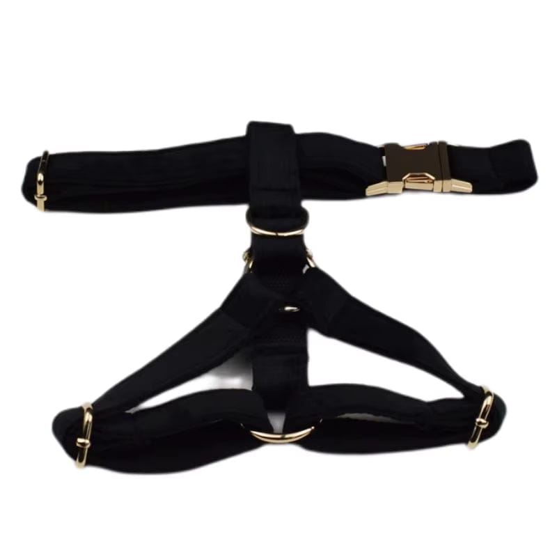 Black Velvet Personalized Dog Harness Set – Custom Engraved Collar & Leash DDPaws