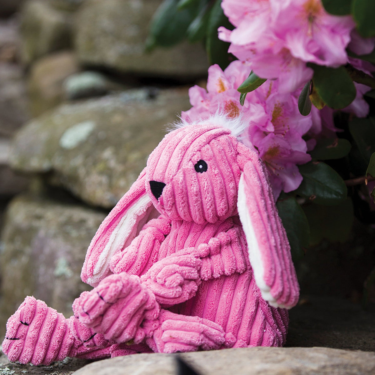Bitsy Bunny Knottie® Plush Dog Toy – 5-Squeaker Tug & Chew Toy HuggleHounds