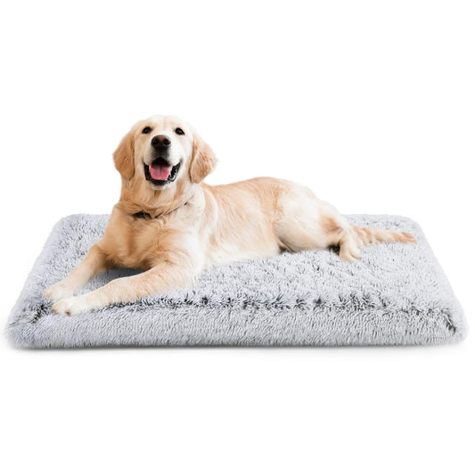 Dog lying on a fluffy gray pet bed against a white background