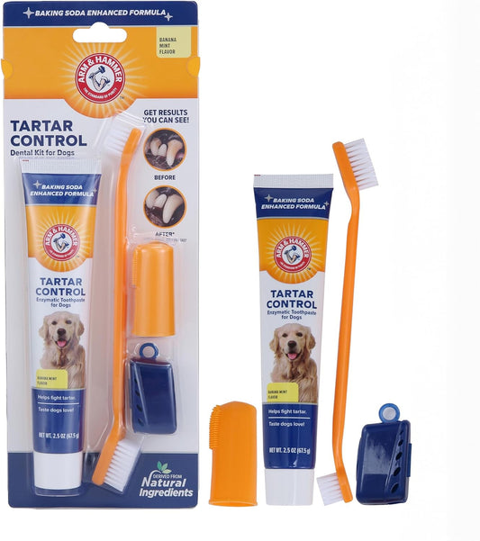 Arm & Hammer Tartar Control dental kit for dogs with toothbrush, brush, and packaging on a white background.