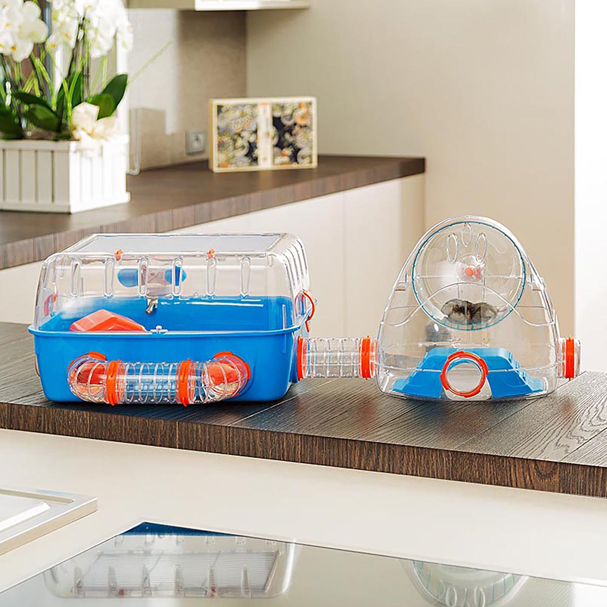 Pet cage with accessories on a kitchen counter