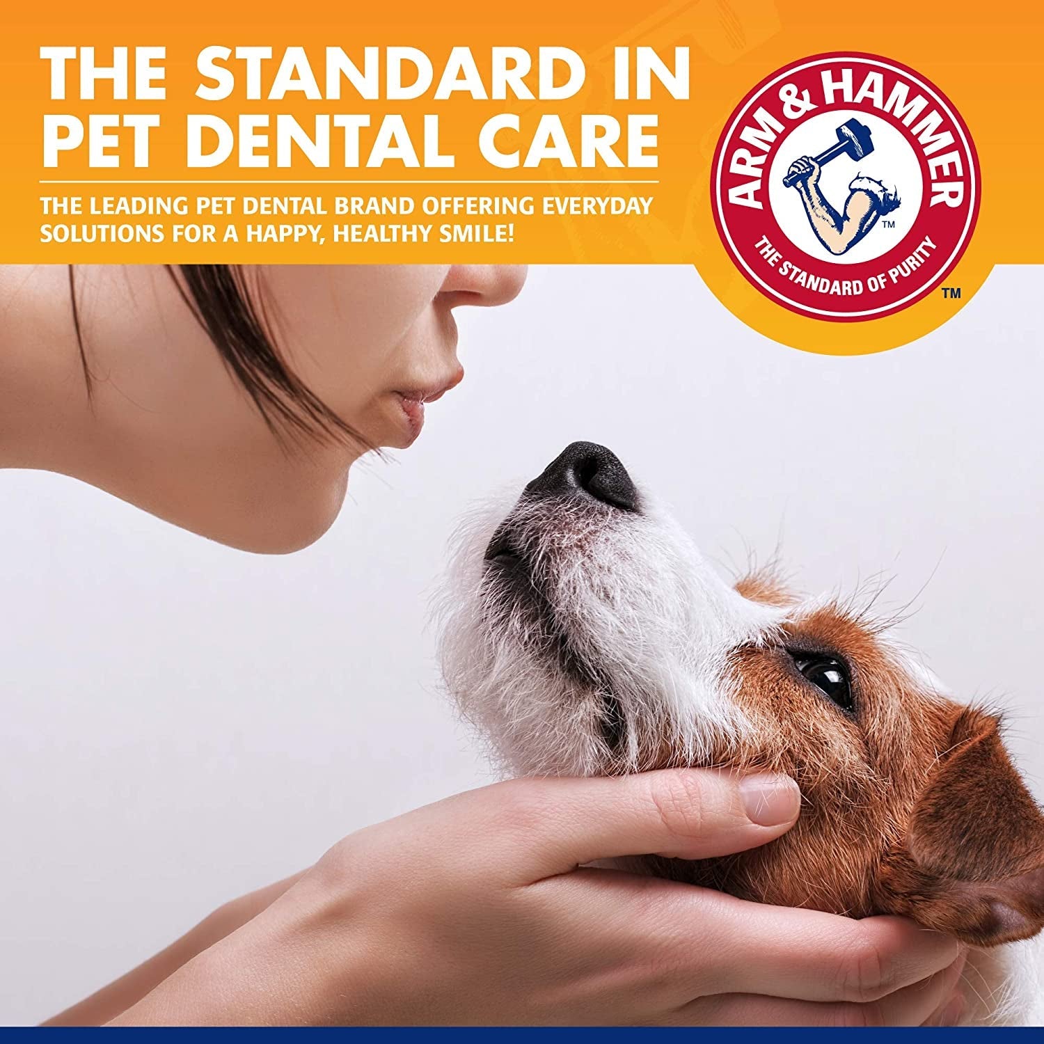 Arm & Hammer Tartar Control Dental Kit for Dogs MJ's Pet Closet