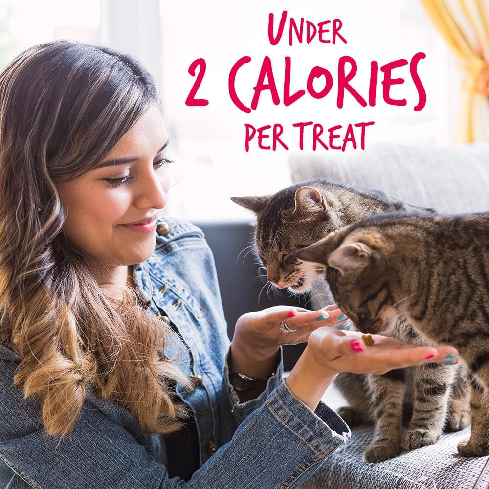 Fruitables Crunchy Cat Treats – Real Salmon & Cranberry with Superfood Ingredients | 2.5 oz MJ's Pet Closet