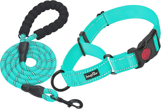 Turquoise dog collar and leash set with a red button on a white background