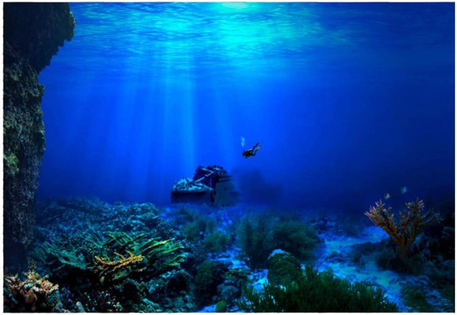 Two scuba divers exploring a coral reef underwater.