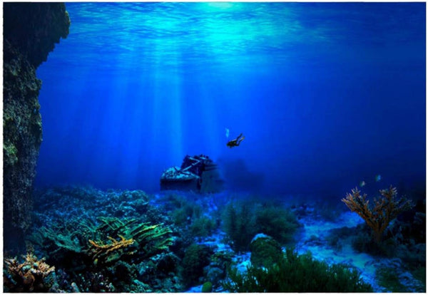 Two scuba divers exploring a coral reef underwater.