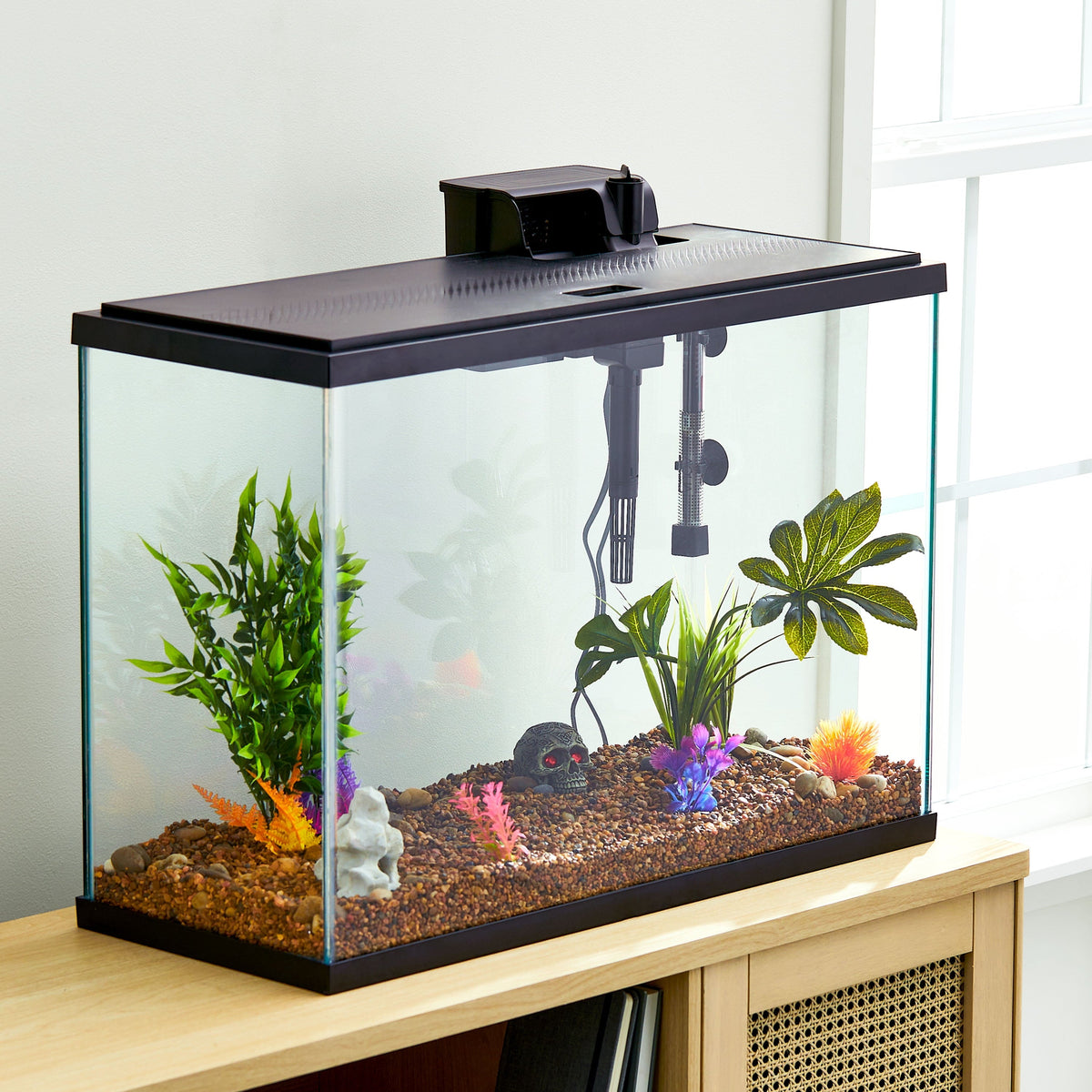 Aqua Culture 29 Gallon Glass Aquarium Starter Kit – LED Lighting, Filter & Heater Included MJ's Pet Closet