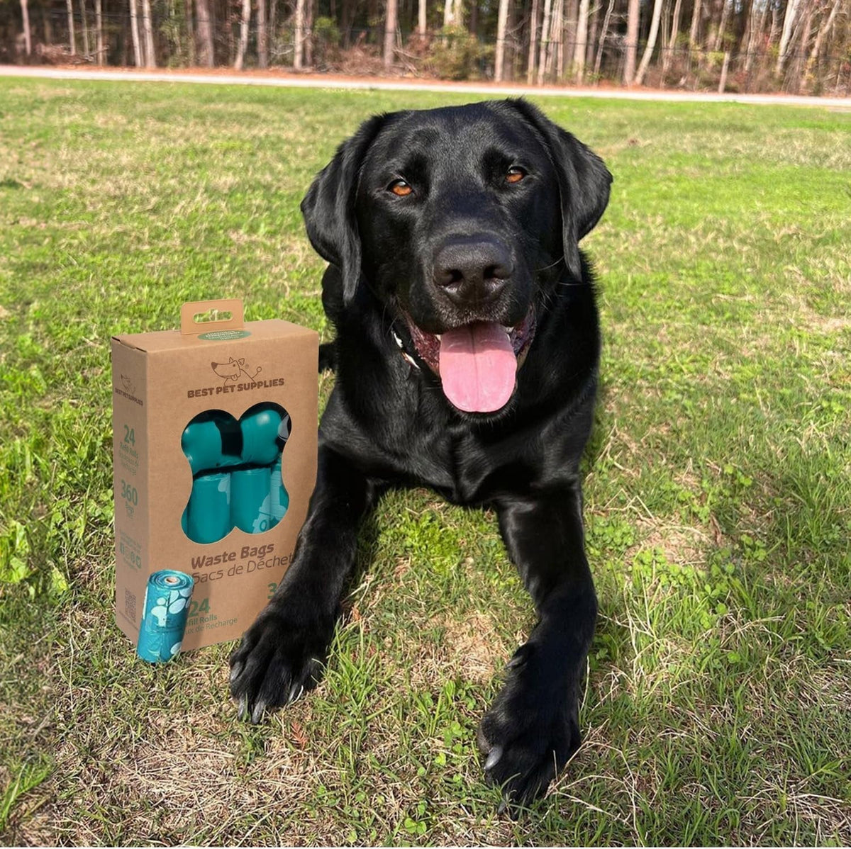Dog Poop Bag Rolls – 360 Bags (24 Rolls x 15 Bags) Doggy Waste Bag Refill Pack | Turquoise MJ's Pet Closet