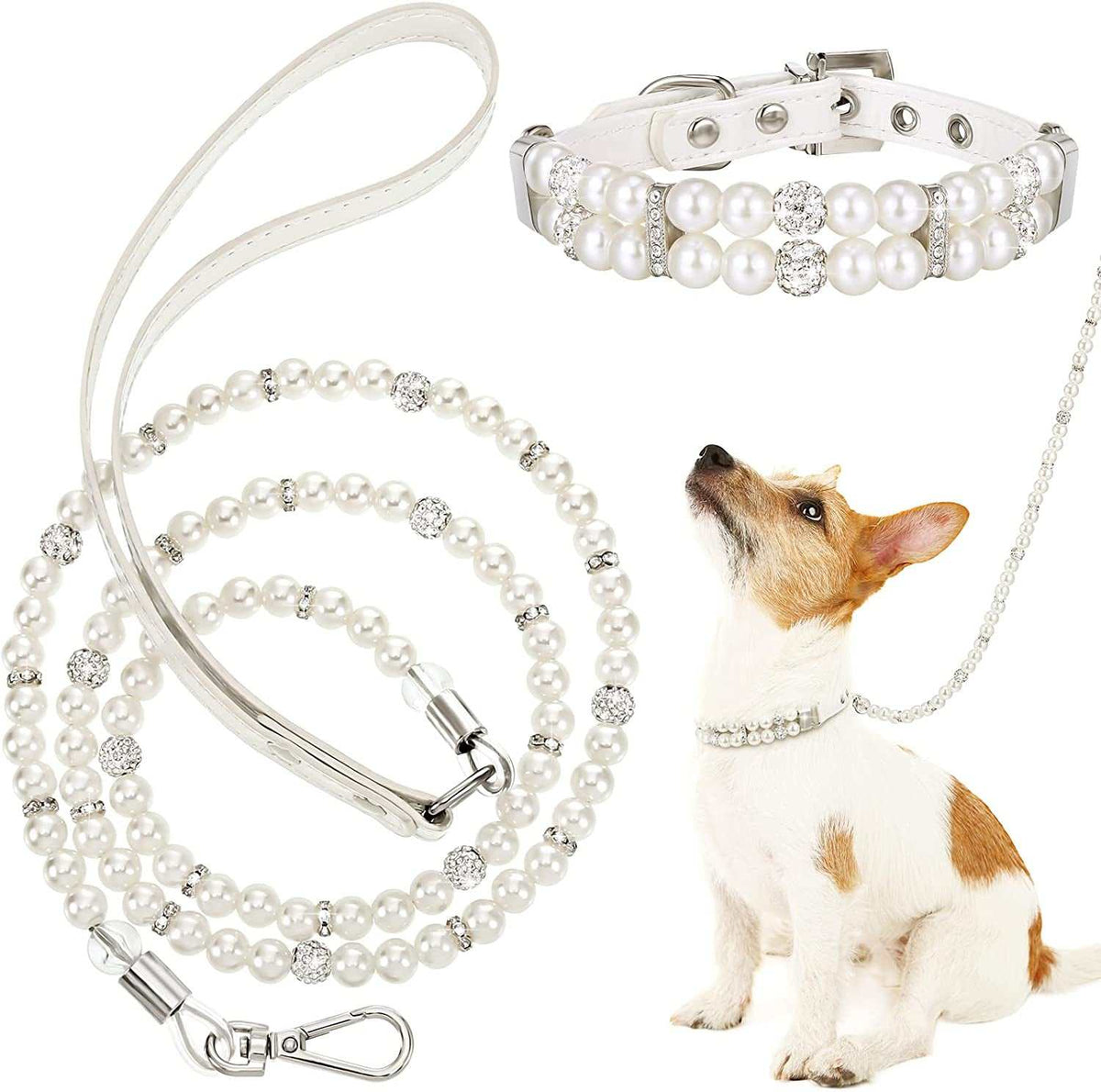 Pearl dog collar and leash set with a small dog wearing them on a white background