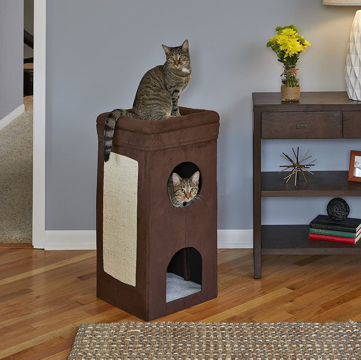 Cat sitting on a brown cat tree with another cat inside, in a home setting.
