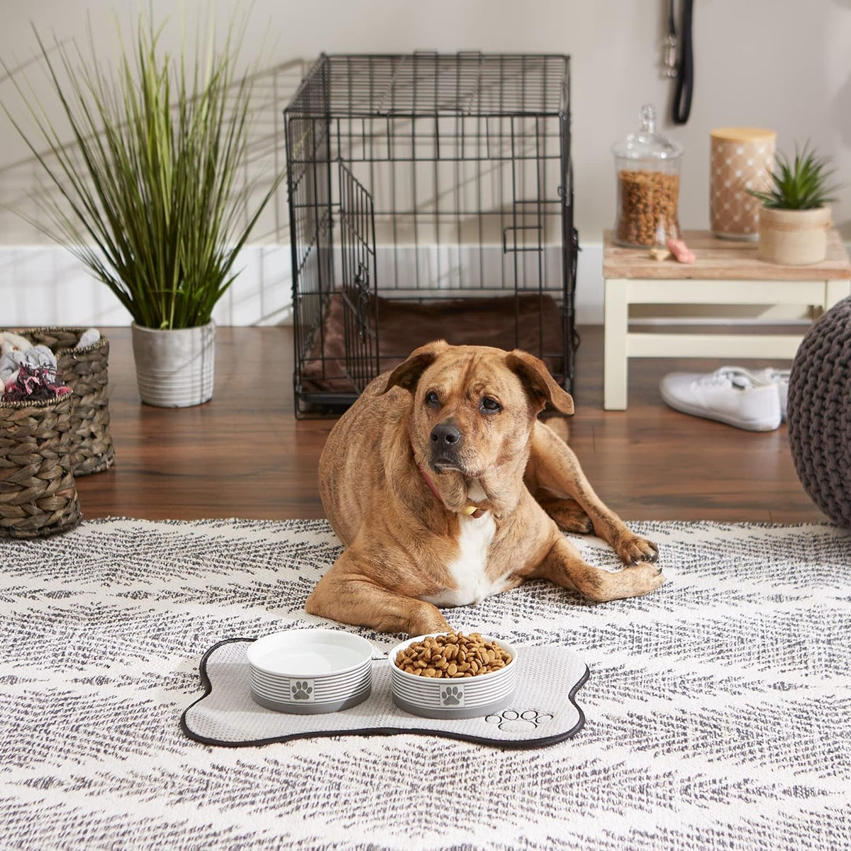 Paw & Patch Ceramic Pet Collection, Medium Set, 6X2", Gray, 2 Piece MJ's Pet Closet