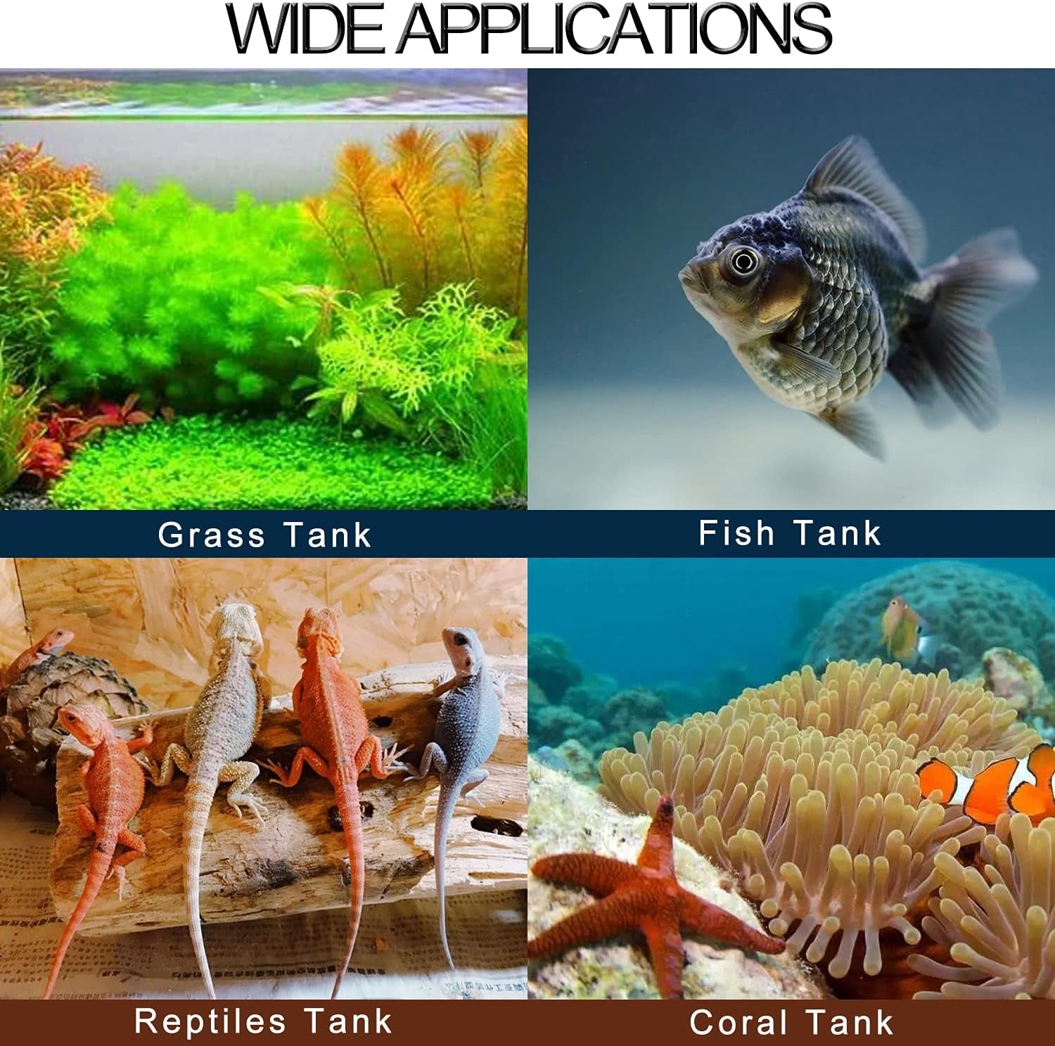 Digital Aquarium Thermometer – Cordless LCD Display MJ's Pet Closet