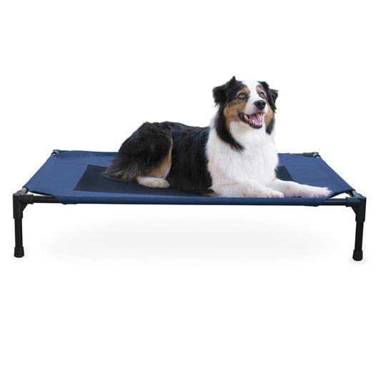 Dog lying on a blue pet cot with a white background