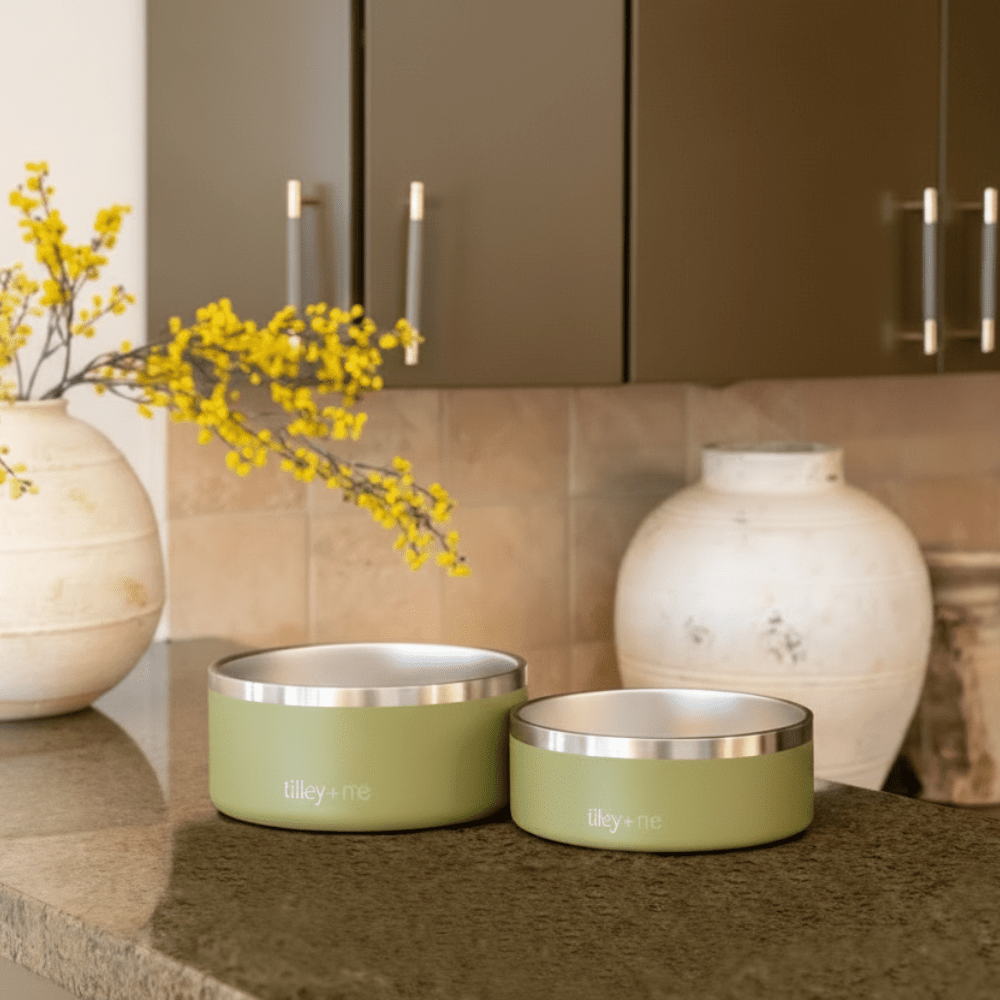 Tilley + Me Stainless Steel Pet Bowl | Non-Slip, Dishwasher Safe | 32oz & 64oz Tilley + Me