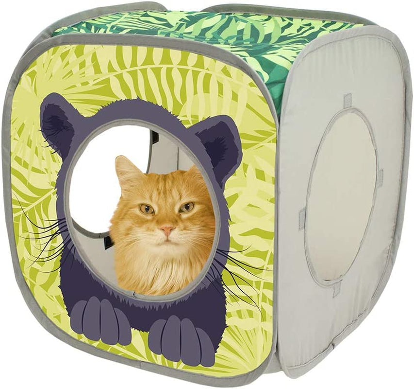 Cat playing with a green and gray cube-shaped pet toy
