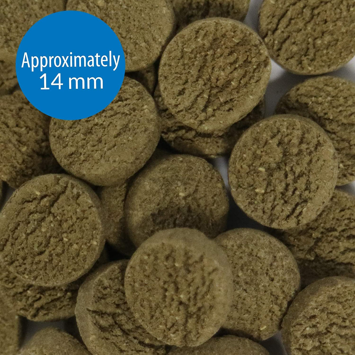 API Algae Eater Wafers – Complete Algae Wafer Fish Food for Plecos & Bottom Feeders (3.7 oz) MJ's Pet Closet