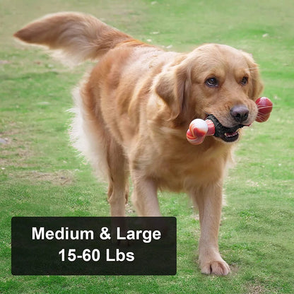 Dog Toys for Aggressive Chewers Bone