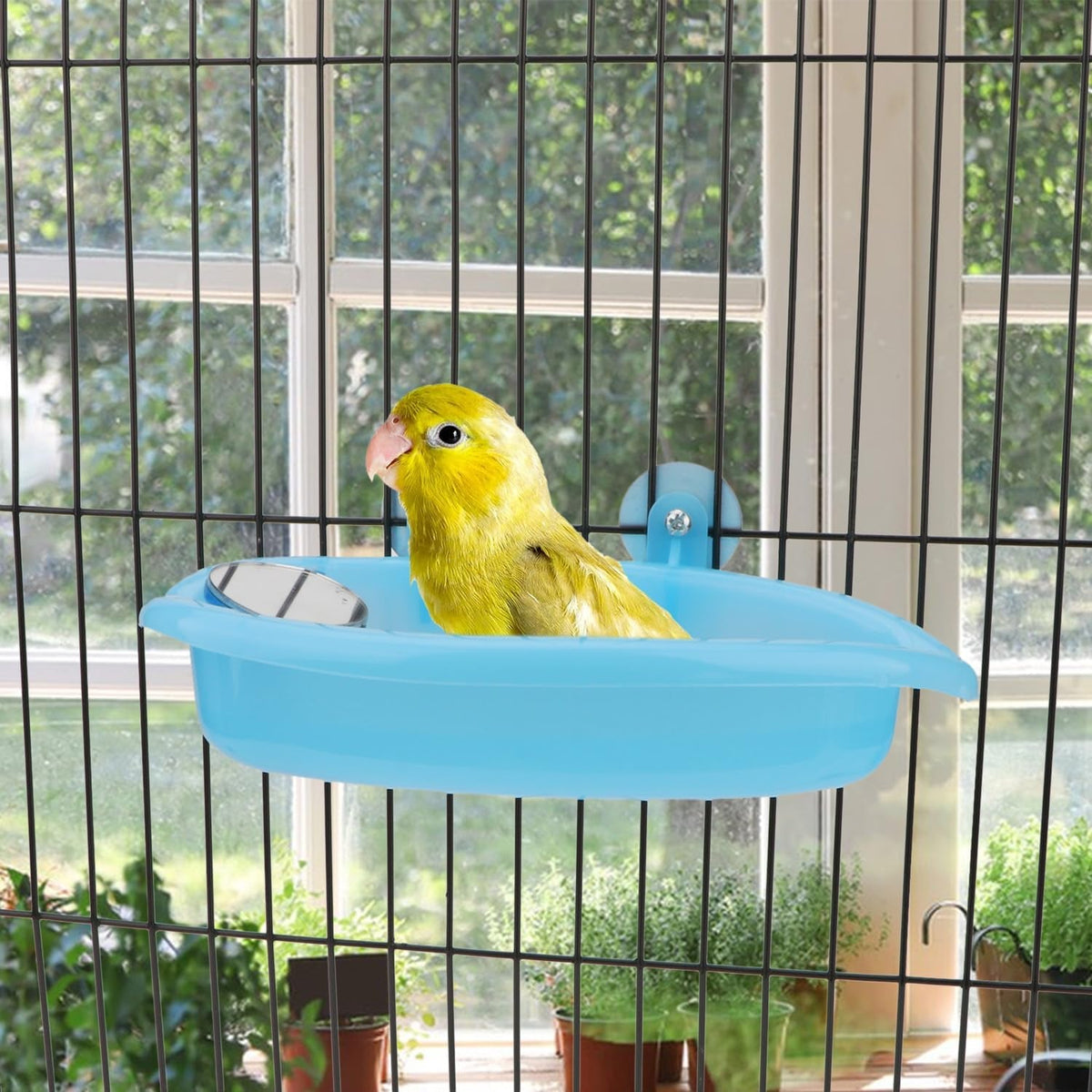 Portable Bird Bath Tub with Mirror – Hanging Cage Attachment MJ's Pet Closet