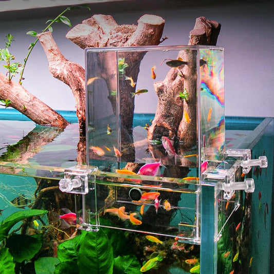Clear acrylic fish tank with decorative elements and colorful fish on a gradient background