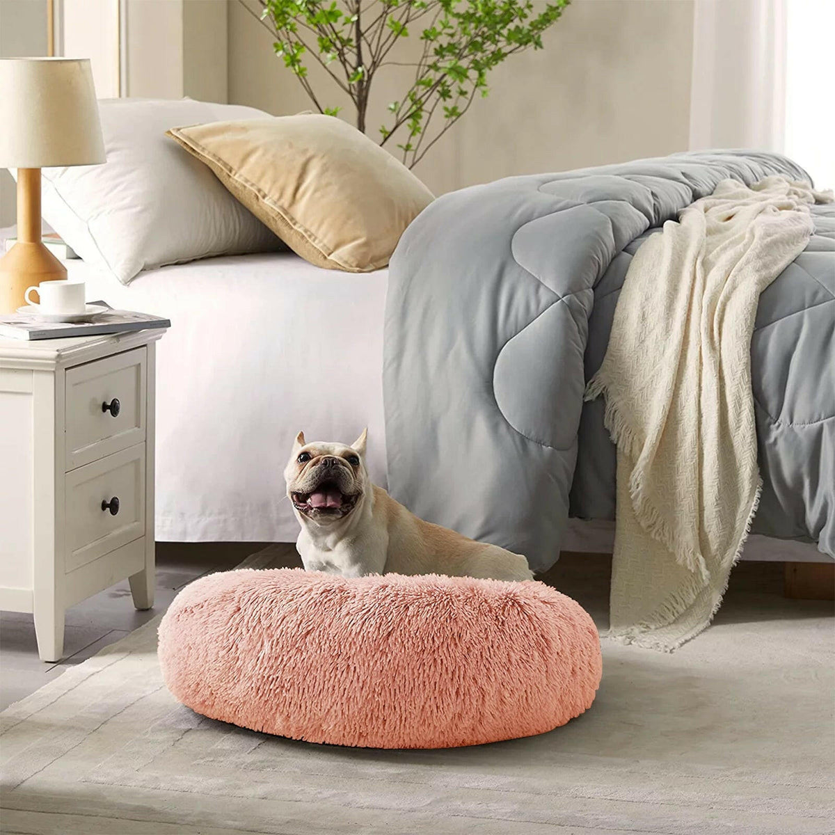 Dog sitting on a fluffy pink pet bed in a bedroom with a bed and nightstand in the background.