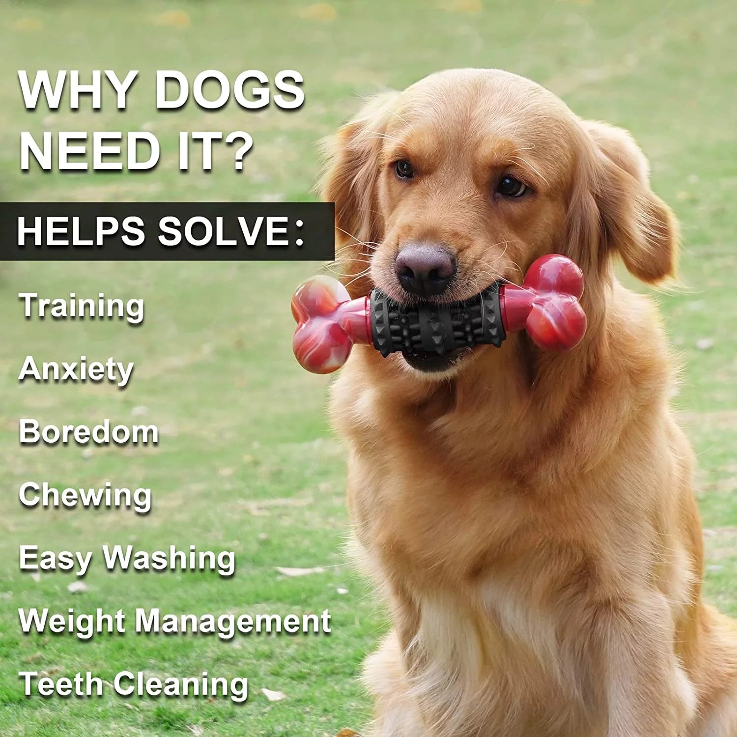 Dinosam Indestructible Dog Bone Toy – Aggressive Chewers MJ's Pet Closet