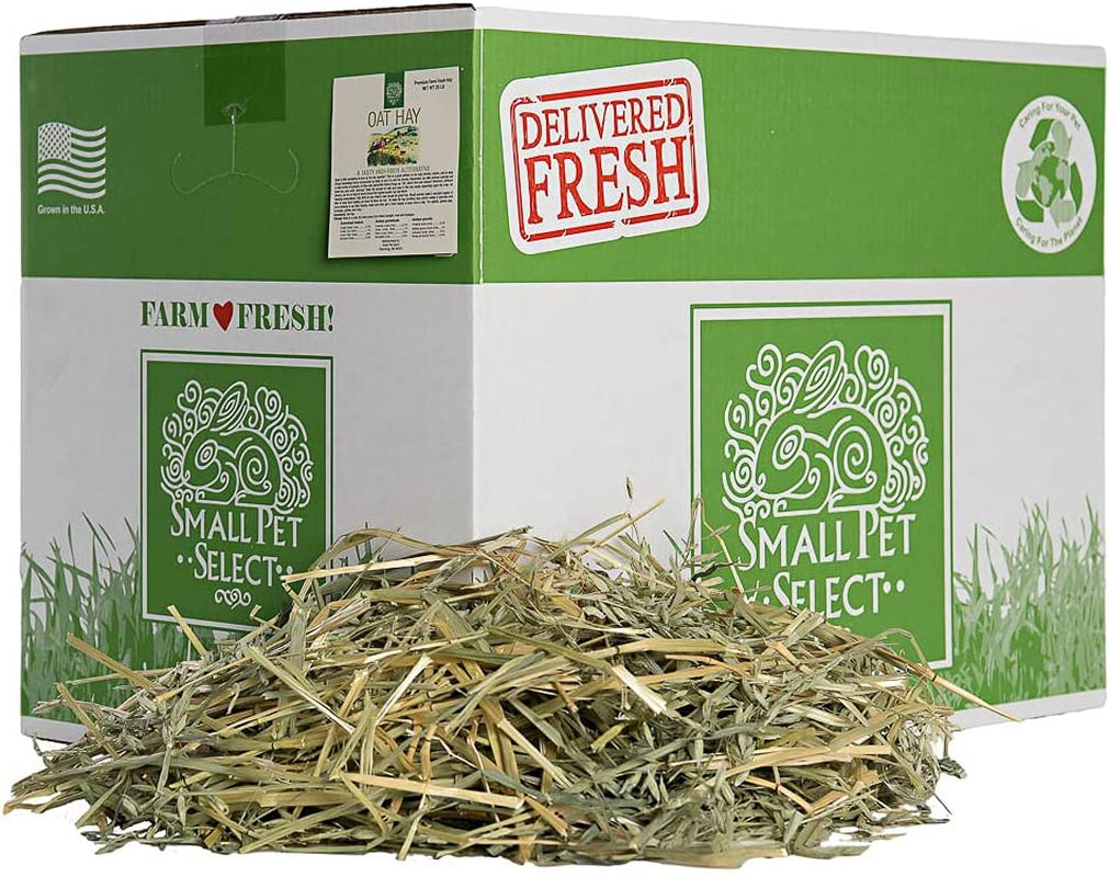 Small Pet Select hay with a green and white packaging box labeled 'Delivered Fresh'.