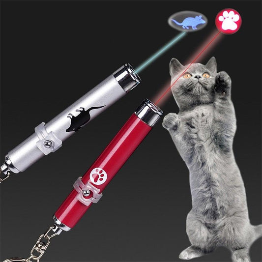 Two laser pointers, one red and one silver, with a cat looking at them on a dark background.