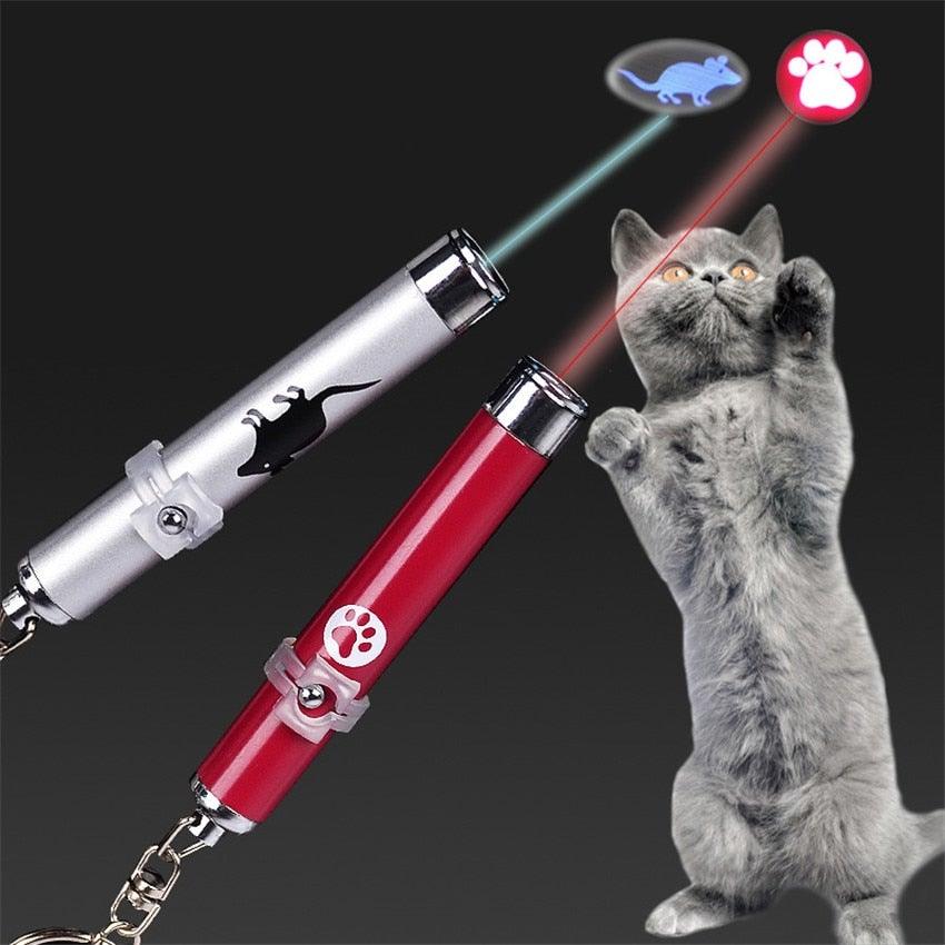 Two laser pointers, one red and one silver, with a cat looking at them on a dark background.