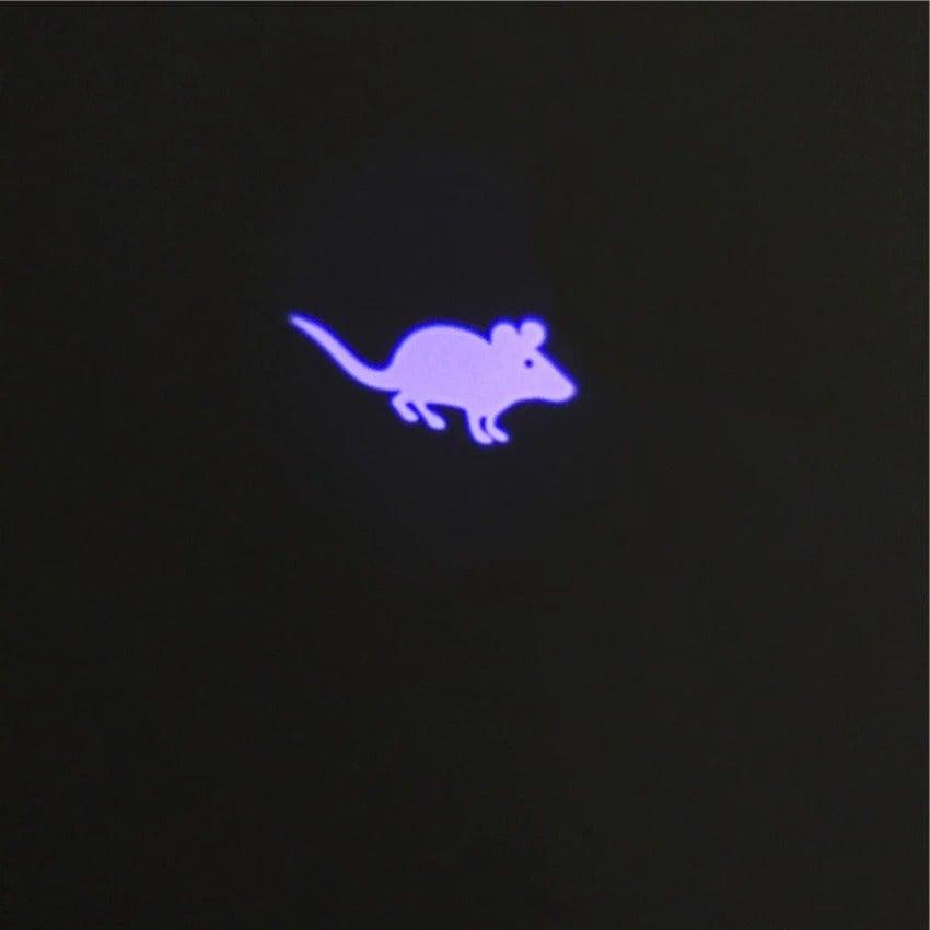 LED Laser Pointer Toy for Cats & Dogs | USB Rechargeable Interactive Pet Toy Stevvex