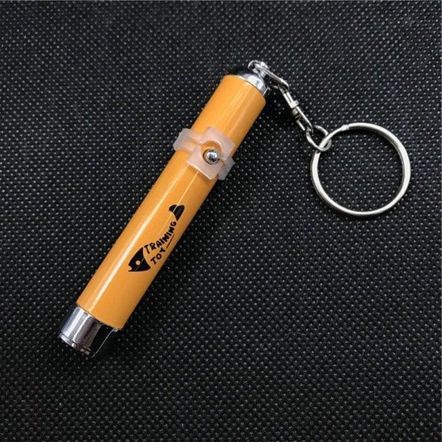 LED Laser Pointer Toy for Cats & Dogs | USB Rechargeable Interactive Pet Toy Stevvex