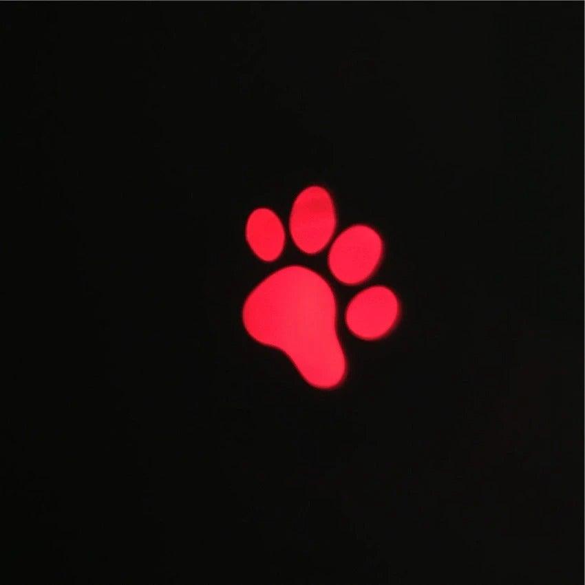 LED Laser Pointer Toy for Cats & Dogs | USB Rechargeable Interactive Pet Toy Stevvex