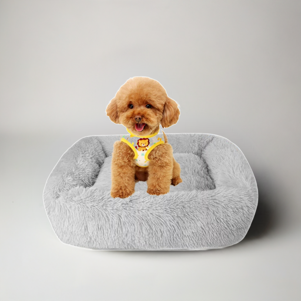 Small dog wearing a yellow outfit sitting on a gray pet bed against a light gray background